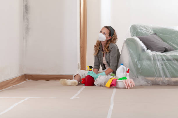 Reliable Mold Remediation contractor in Halethorpe, MD by WQB Mold Removal
